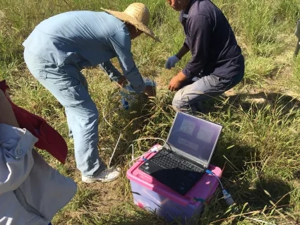 photo of scientists in the field