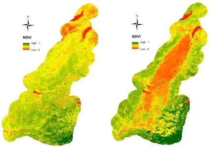 two images showing scientific data of plant recovery after the 2014 King Fire in California