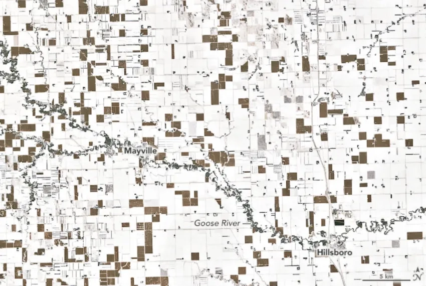 satellite view of a snowy cornfield in North Dakota