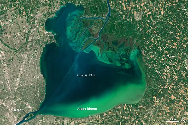 full-color image from a satellite showing an algal bloom as green in a deep blue lake