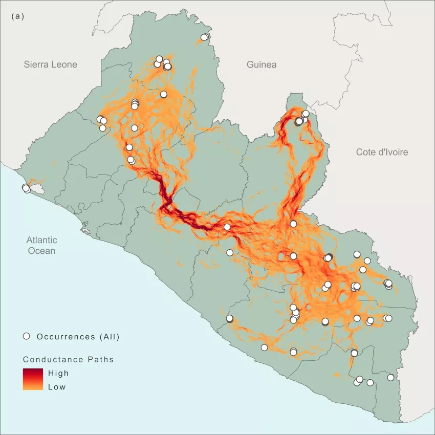 map of Liberia showing animal migration routes