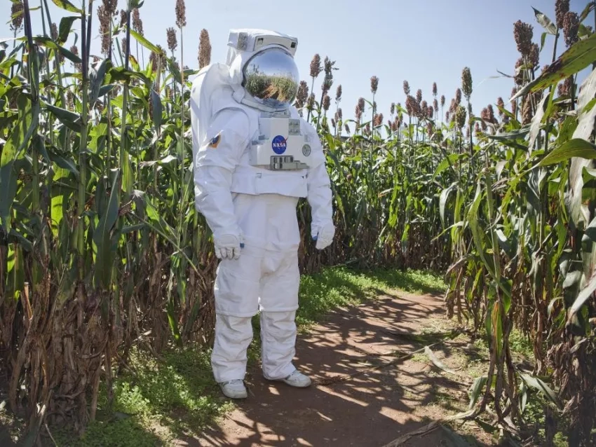 NASA Spacesuit in a field