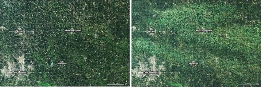 These images from Landsat 8 capture the devastating effects of a derecho on Iowa’s agricultural industry. The first image, taken July 10, 2020, shows the area before the storm, while the second image, taken Aug. 11, 2020, shows the region after the derecho. Wind-damages crop areas appear light green. Credits: NASA, Joshua Stevens