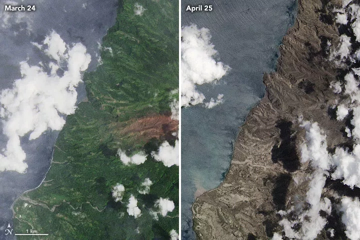 Images acquired by the Operational Land Imager (OLI) on Landsat 8, showing the northwestern part of the island before (March 24, 2021) and after (April 25, 2021) two weeks of powerful eruptions and ashfalls. Credits: NASA Earth Observatory