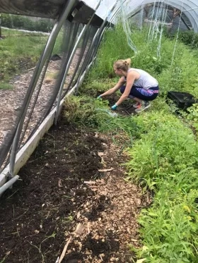 Photo of woman gardening