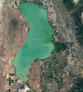 satellite image of green lake