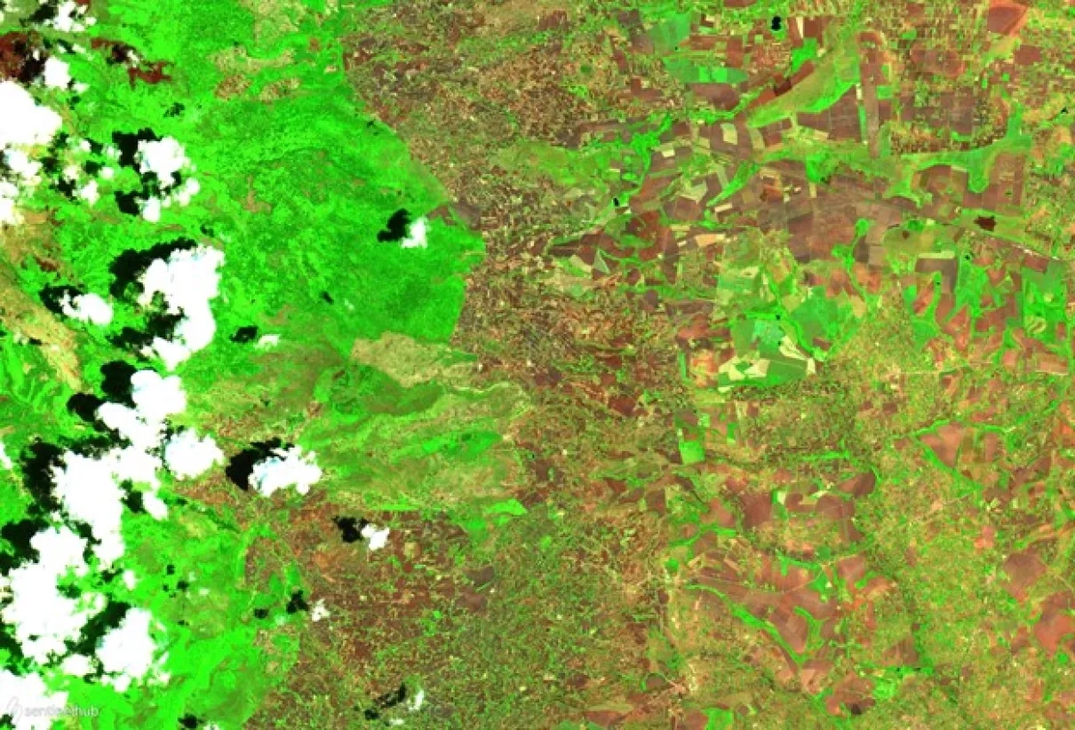 Satellite image of fields in Kenya
