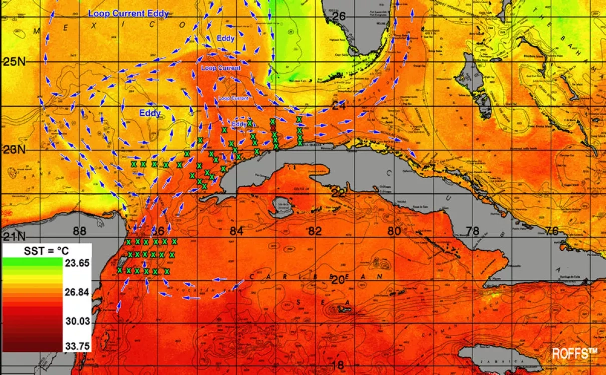 Sea-surface temperature image analysis and proposed stations based on habitat model and oceanographic data.