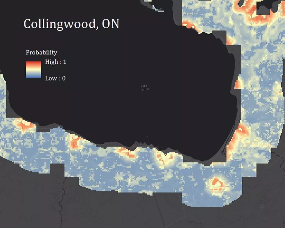 Risk map for Phragmites australis near Collingwood, Ontario. Areas in red show a higher probability for Phragmites