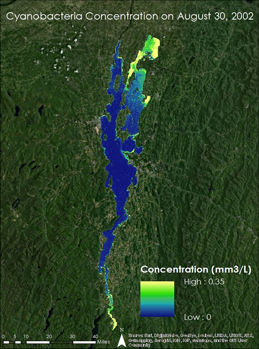 Satellite image of cyanobacteria concentrations in Lake Champlain. 