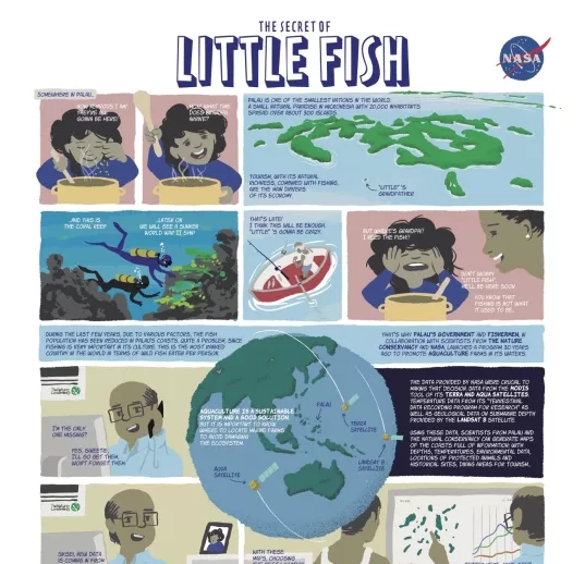 The-Secret-of-Little-Fish