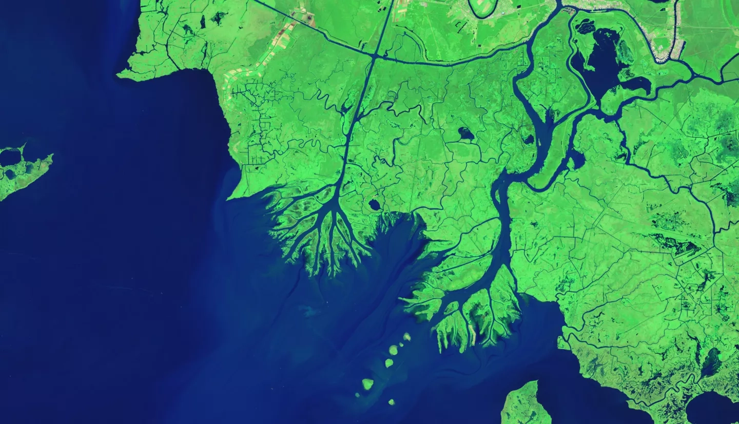 Landsat 5 and Landsat 7 image of the Mississippi River delta plain