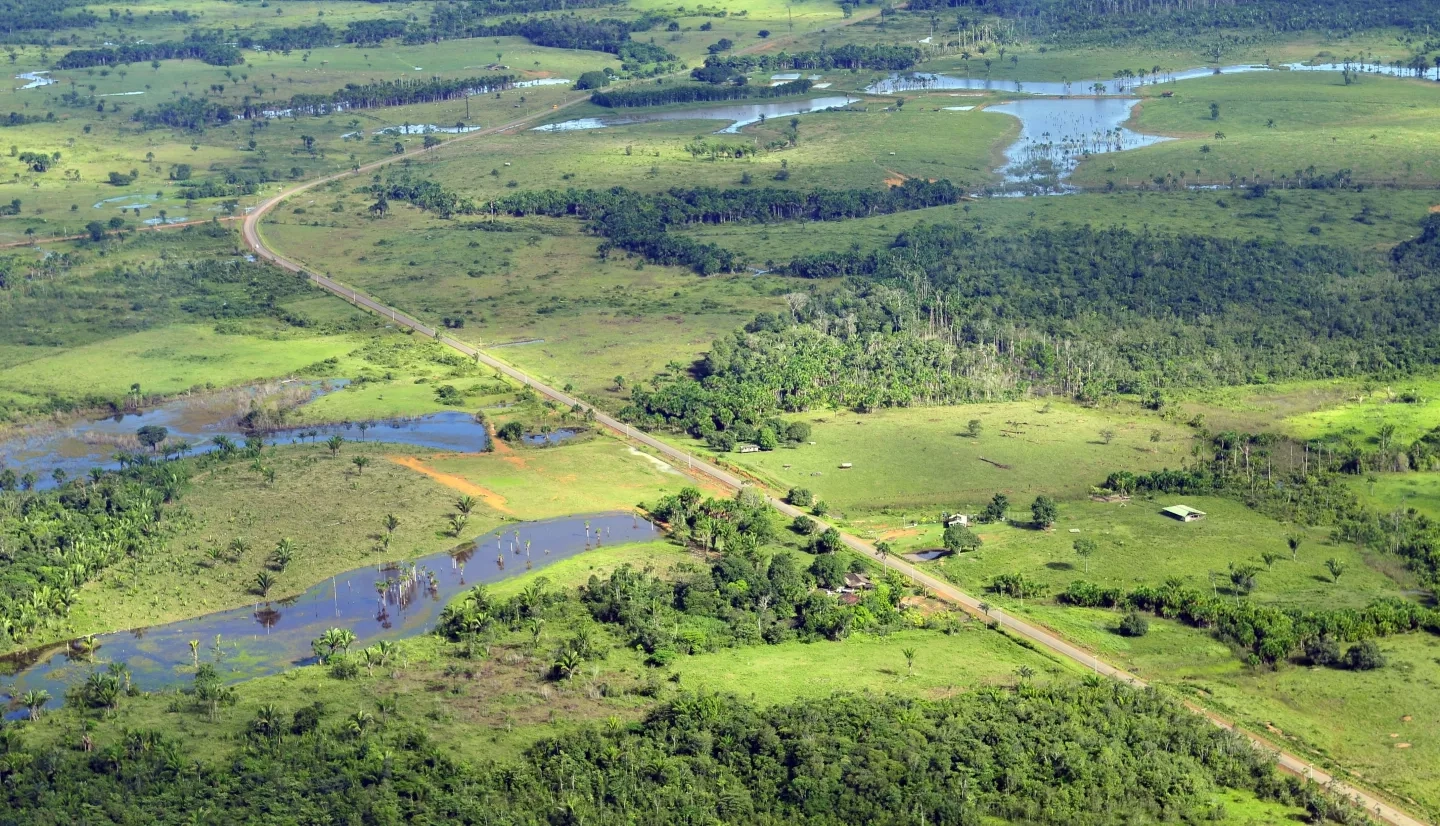 Deforestation and land use change has greatly impacted the Amazon rainforest.  This image shows a road cutting through what was once tropical forest.