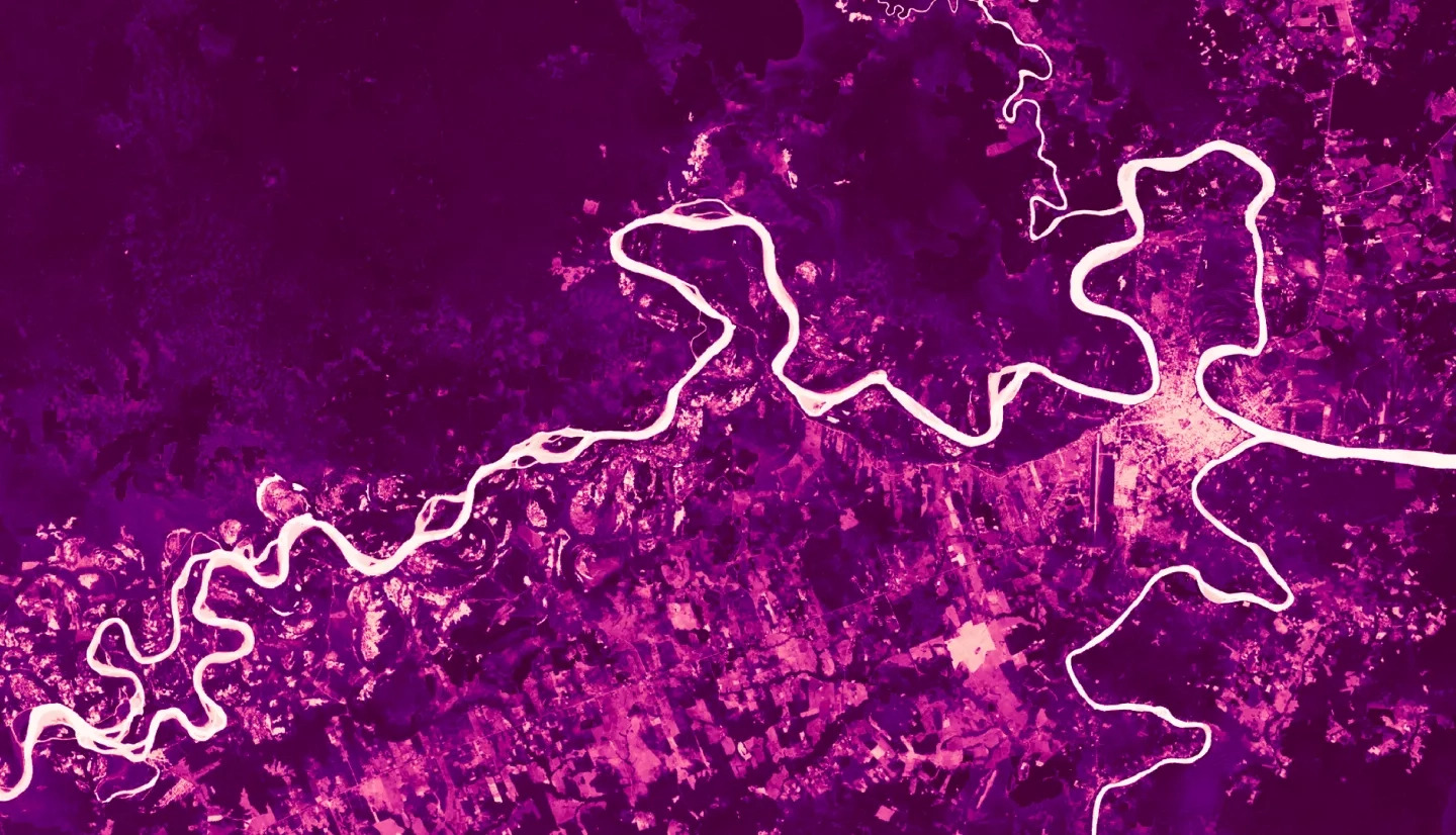 NDVI image displaying diverse land uses around Puerto Maldonado, Peru. Derived from Landsat 8 OLI, the image is a cloud-removed, composite mean from all available images over the 2020-2021 Peruvian wet season (October – April). Light pinks indicate low photosynthetic activity, and dark pinks and purples indicate high photosynthetic activity. These NDVI data inform land use analyses, which can assist public health and environmental officials in understanding the relationship between land cover and zoonotic d