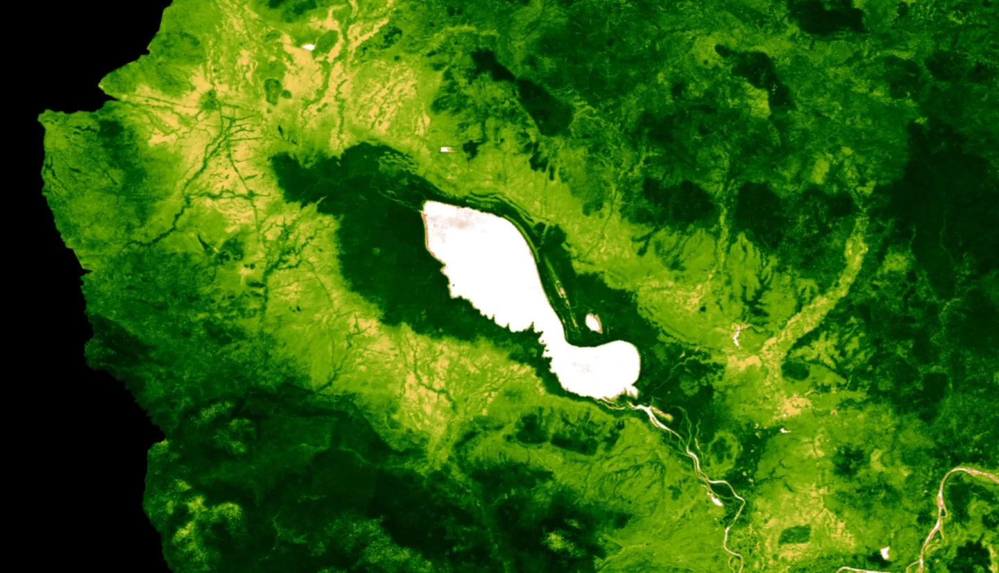 Processed MOD13Q1.006 Terra Vegetation Indices 16-Day Global 250m imagery and calculated 20-year median NDVI for serial 16-day MODIS composites (January 1st, 2000, to December 31st, 2020), reflected for the Tonlé Sap Lake region, within Cambodia SE Asia. High photosynthetic capacity is dark green, low photosynthetic capacity is tan, water detected in NDVI is white. Focusing on low to high vegetation cover, density, and productivity to prioritize resource allocation and increase agricultural sustainability f