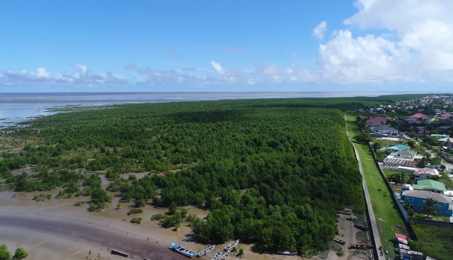 Mangrove forests form a natural seawall protecting neighborhoods of Georgetown, Guyana’s capital city.