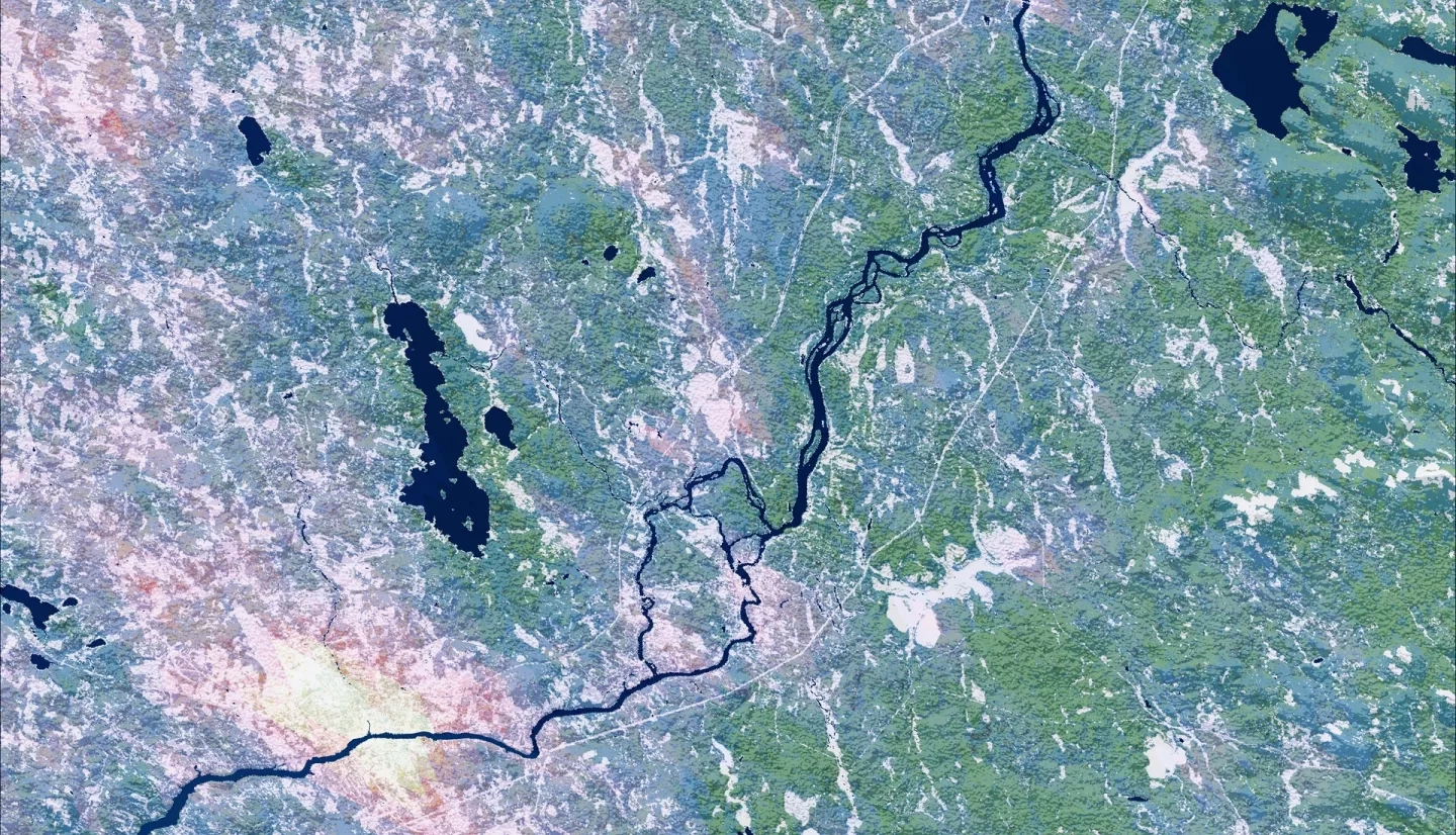 Forest cover and land surface temperature (LST) around Maine's Penobscot River during Summer 2021. The shades of green distinguish between evergreen (dark) and deciduous (light) forests which were classified using Landsat 8 OLI imagery. The purple gradient corresponds to LST derived from Terra MODIS, where the warmest areas, including Bangor, are white. Changing land use and warming temperatures along Maine’s rivers are associated with reducing juvenile Atlantic salmon (<em>Salmo salar</em>) survivorship.