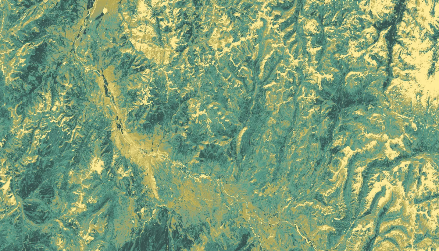  Normalized difference vegetation index (NDVI) generated from an October 5, 2021 Landsat 8 OLI image of Yellowstone National Park. The dark green shades represent areas with healthy vegetation, yellow depicts bare ground, and intermediate shades reflect a gradient of vegetation productivity. Areas with NDVI values that vary throughout the year are indicative of deciduous vegetation and can help resource managers understand changes in aspen stand extent.​