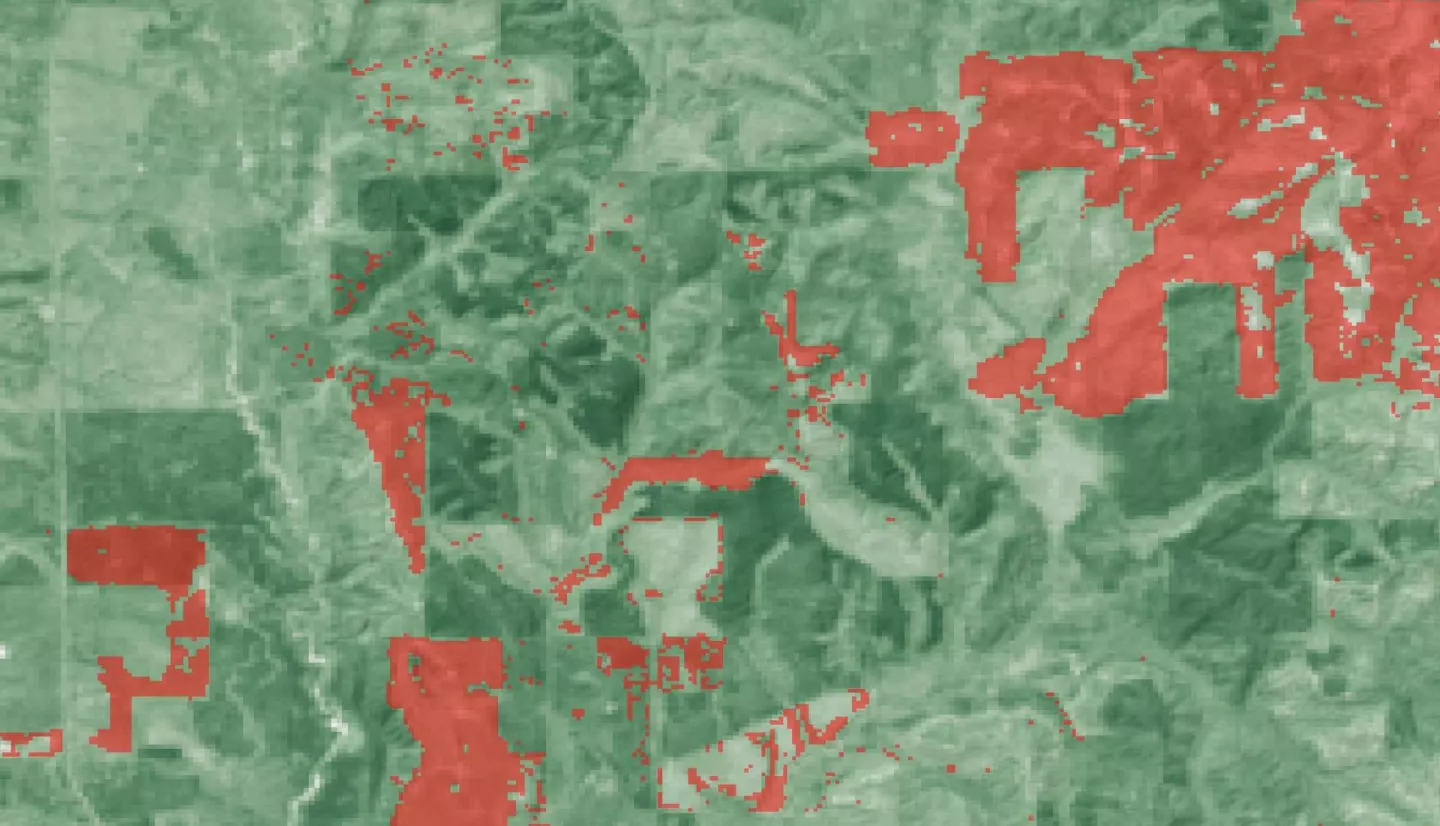 Landsat 8 OLI data processed into the median NDVI for 2016-2021 with an overlay showing deforestation that occurred during this time period in the Talladega National Forest. The deforestation layer is derived from Global Forest Watch's forest cover data, which uses the Landsat series, and was calculated as the difference between forested areas in 2016 and forested areas in 2021. Shades of green indicate the density of forest, while red areas indicate areas deforested in 2021.