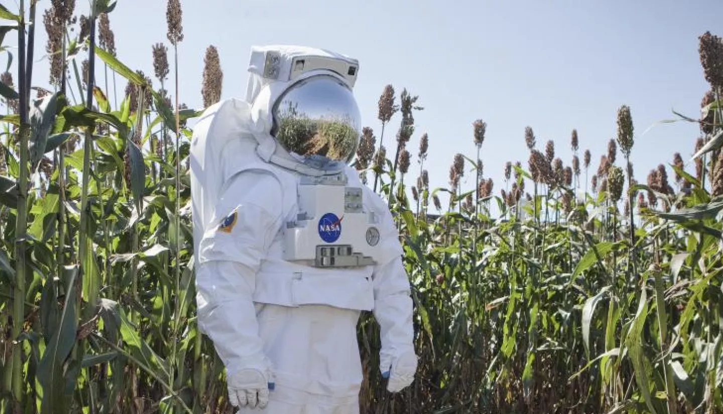 photo of NASA astronaut suit in a field