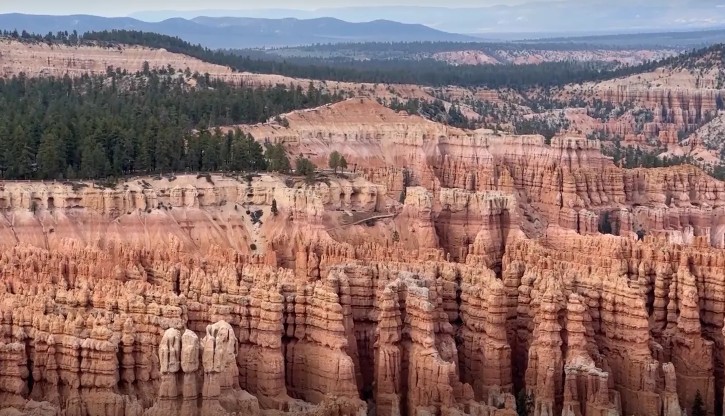A landscape view of Bryce Canyon with rows of red rock spires in the foreground and trees, mountains, and a pale blue skyline behind.