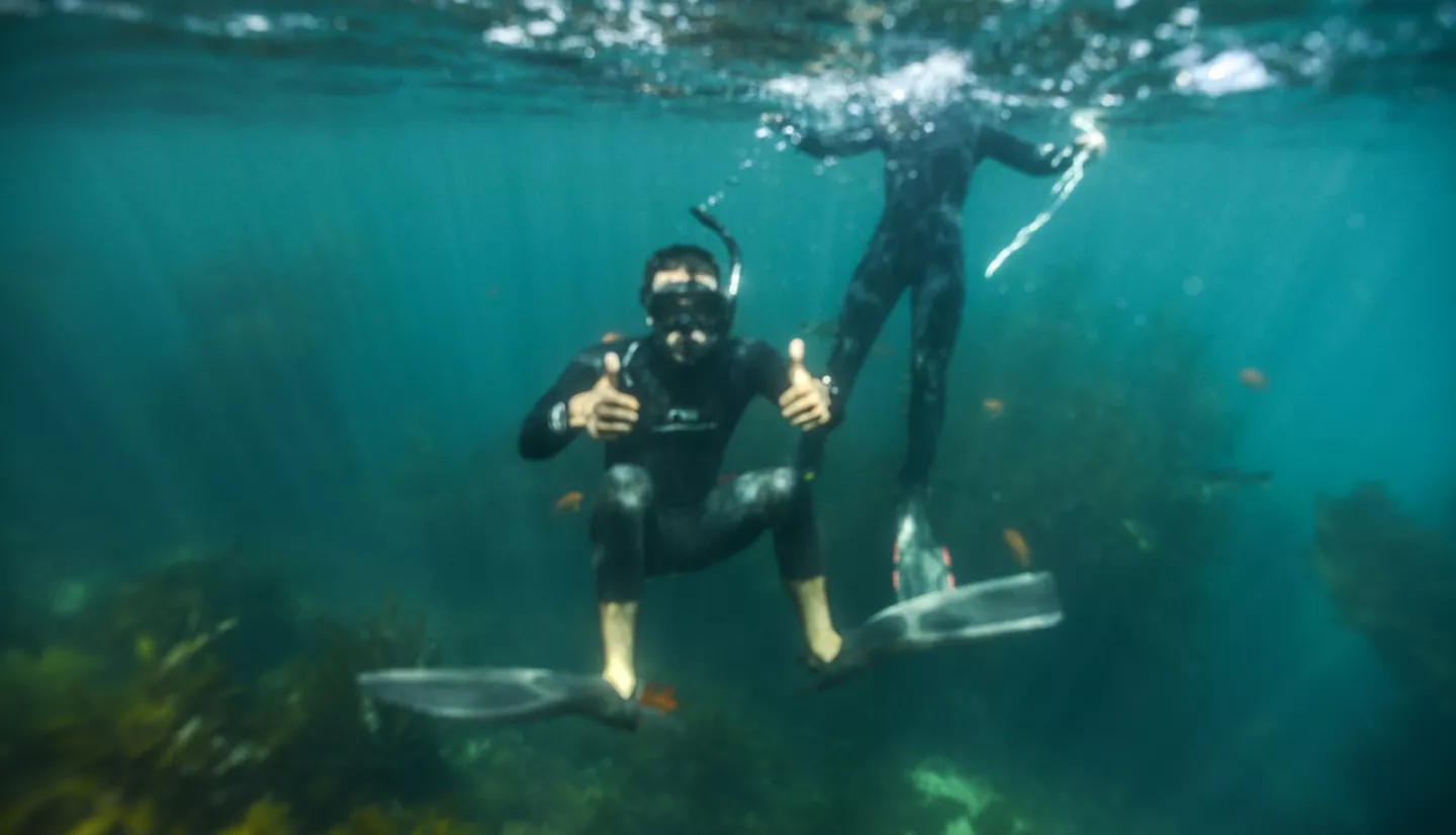 Underwater photo of Ved snorkeling among and giving two thumbs up. Another snorkeler is surfacing behind him.
