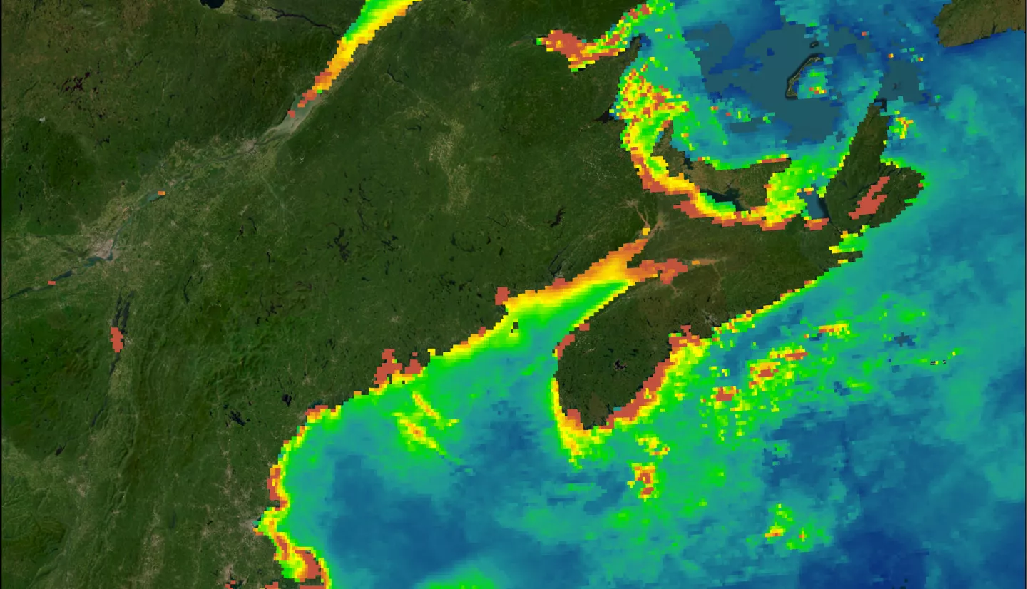 Chlorophyll-a imagery from Aqua MODIS for March 2022 in the Gulf of Maine. Simulated PACE OCI data are derived from Aqua MODIS. Areas in red have a high chlorophyll-a concentration, meaning that the water is high in nutrients such as nitrogen and phosphorus, which cause algae to grow. Areas in blue have a low chlorophyll-a concentration, so the conditions are not present for harmful algal blooms. 