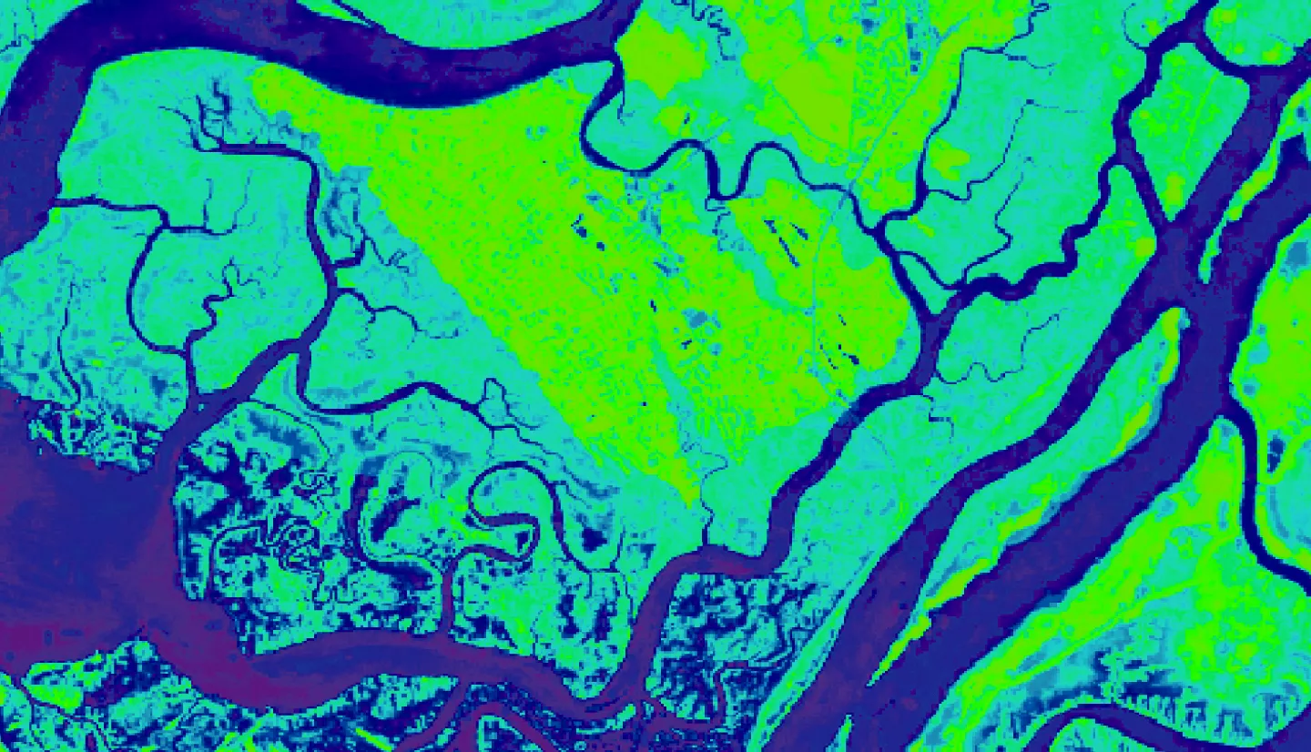 Normalized Difference Vegetation Index (NDVI) of the Savannah River Estuary in Georgia calculated from an October 2022 image taken by NASA's Landsat 8 OLI sensor. Low NDVI values, including water, are represented in blue, while high NDVI values, showing areas of higher vegetation, are in green.  Saltwater intrusion into coastal soils is impacting vegetation health in this area, causing tree die-off and the formation of ghost forests.