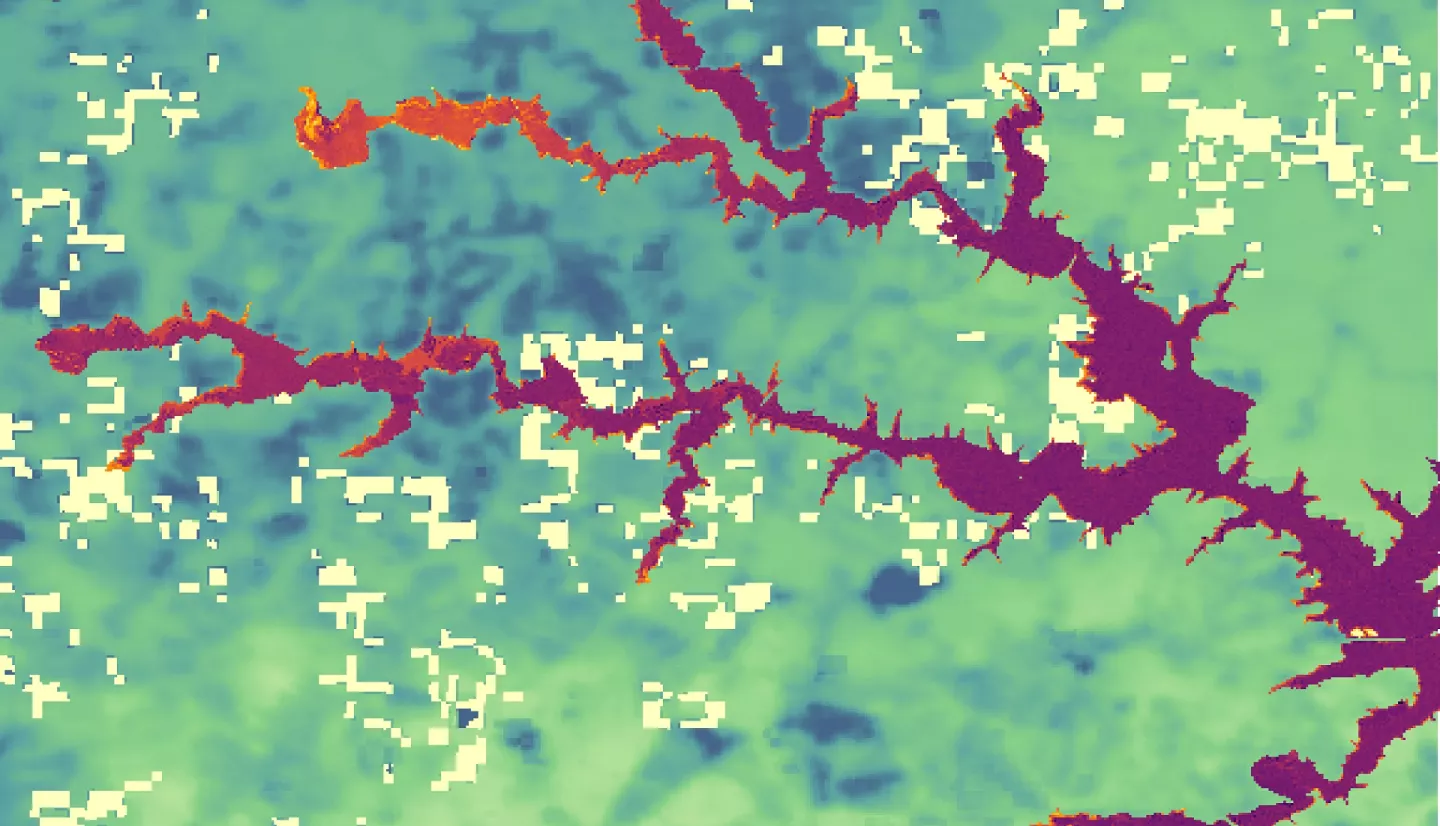 Lake Anna NDCI calculated using Sentinel-2 MSI images overlaying surface temperature imagery processed from Landsat 8 OLI data from May to September of 2021. Surface temperature is represented by shades of blue and green. Within the body of the lake, chlorophyll concentrations are represented on a gradient scale from purple to yellow, with yellow indicating highest concentrations. Higher temperatures can increase chlorophyll concentrations and are therefore of interest for Harmful Algal Blooms in Lake Anna.