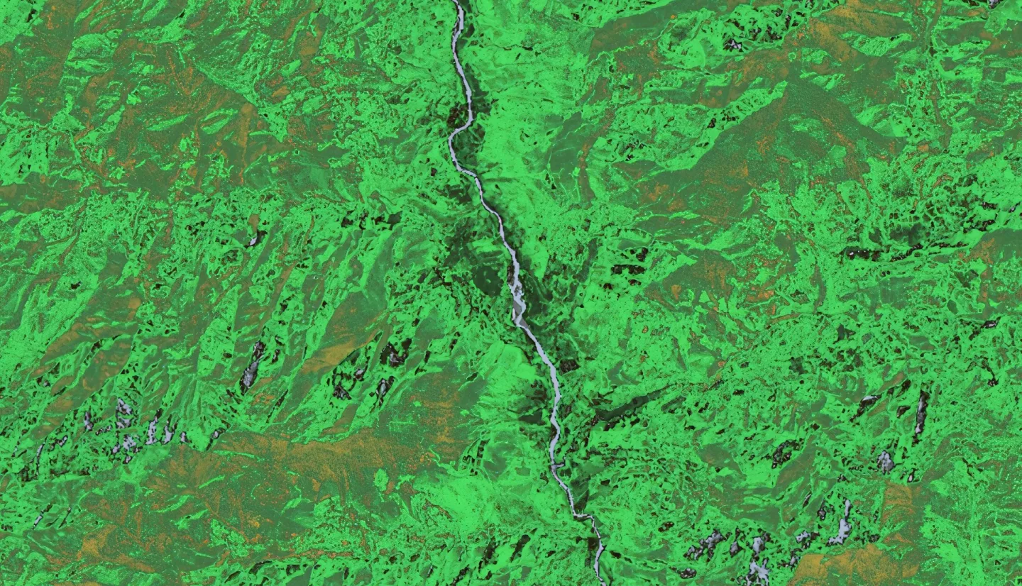NDVI processed imagery from Landsat 9 Collection 2 Tier 1 TOA Reflectance for the whole year of 2022. The composite image shows the vegetation landscape of western Bhutan, focused on the districts of Punakha, Paro, and Wandgue Phodrang. The band combinations highlight forest cover in green, paddy fields in light brown, waterbodies in gray, and barren lands and settlements in black.