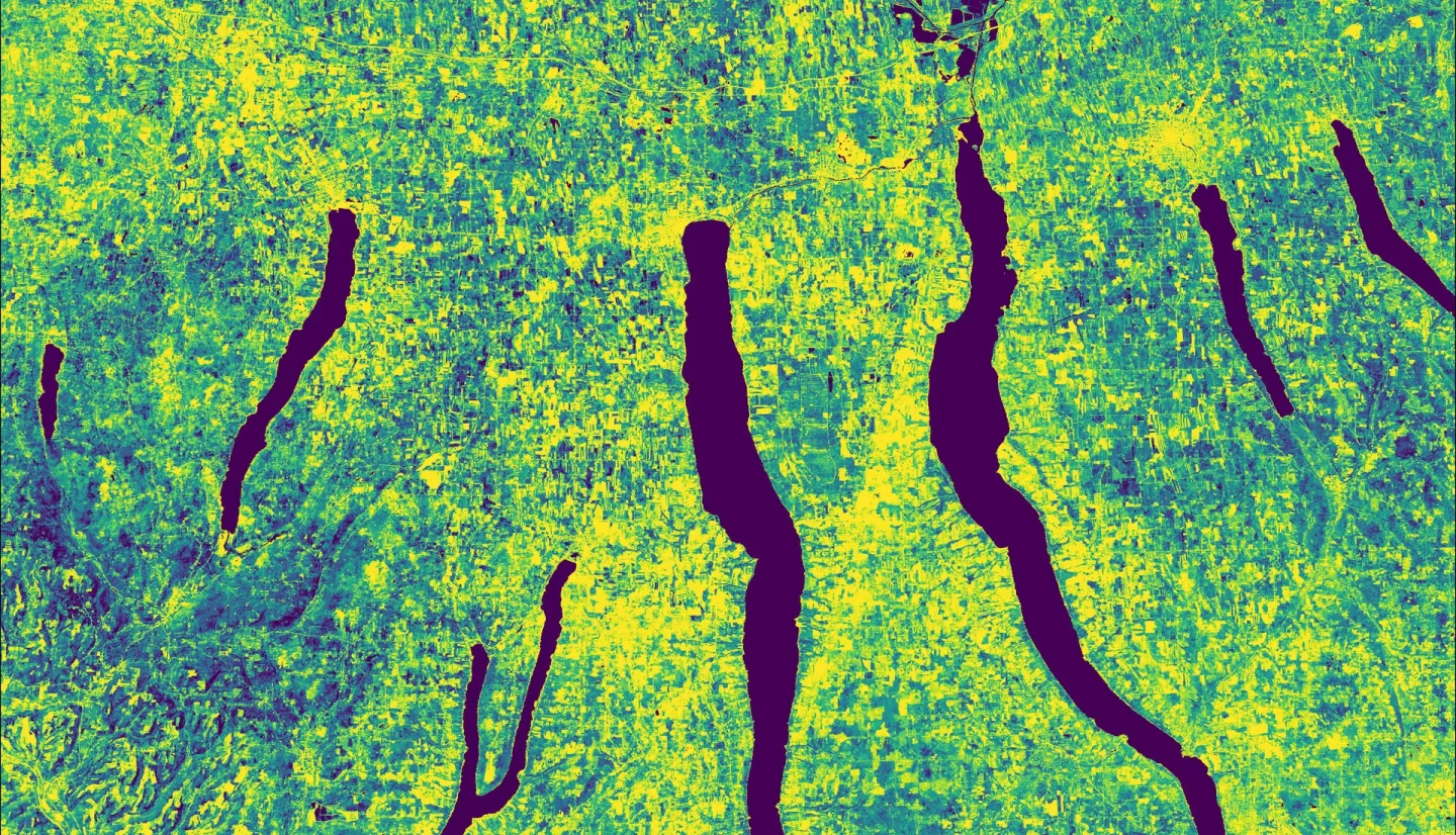 Impervious surface imagery derived from Landsat 9 OLI-2 data. This composite was captured over the Finger Lakes region between April and October of 2022. Blue hues indicate dense vegetation while yellow hues indicate impervious areas. Areas in green indicate agricultural fields of interest to NGOs in the region that aim to prevent the conversion of agricultural lands to urban development.