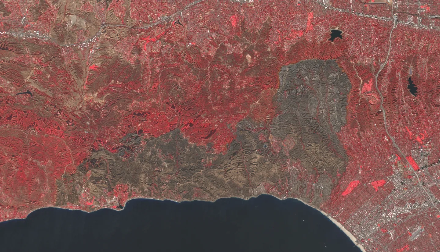 Sentinel-2A color infrared satellite imagery of the Paiisades fire in Malibu, CA, from Jan. 12, 2025.