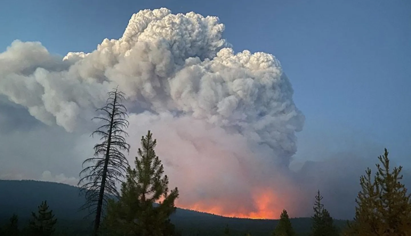 UC Berkeley team holding survey on wildfire evacuations