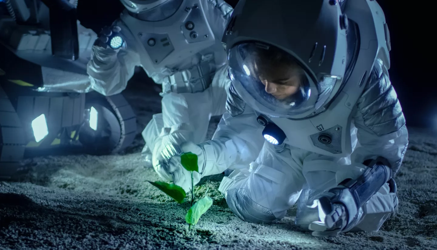 astronaut examining plant
