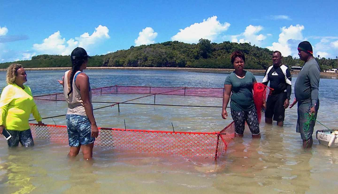 People standing in water in the shallow Pacific ocean near orange nets