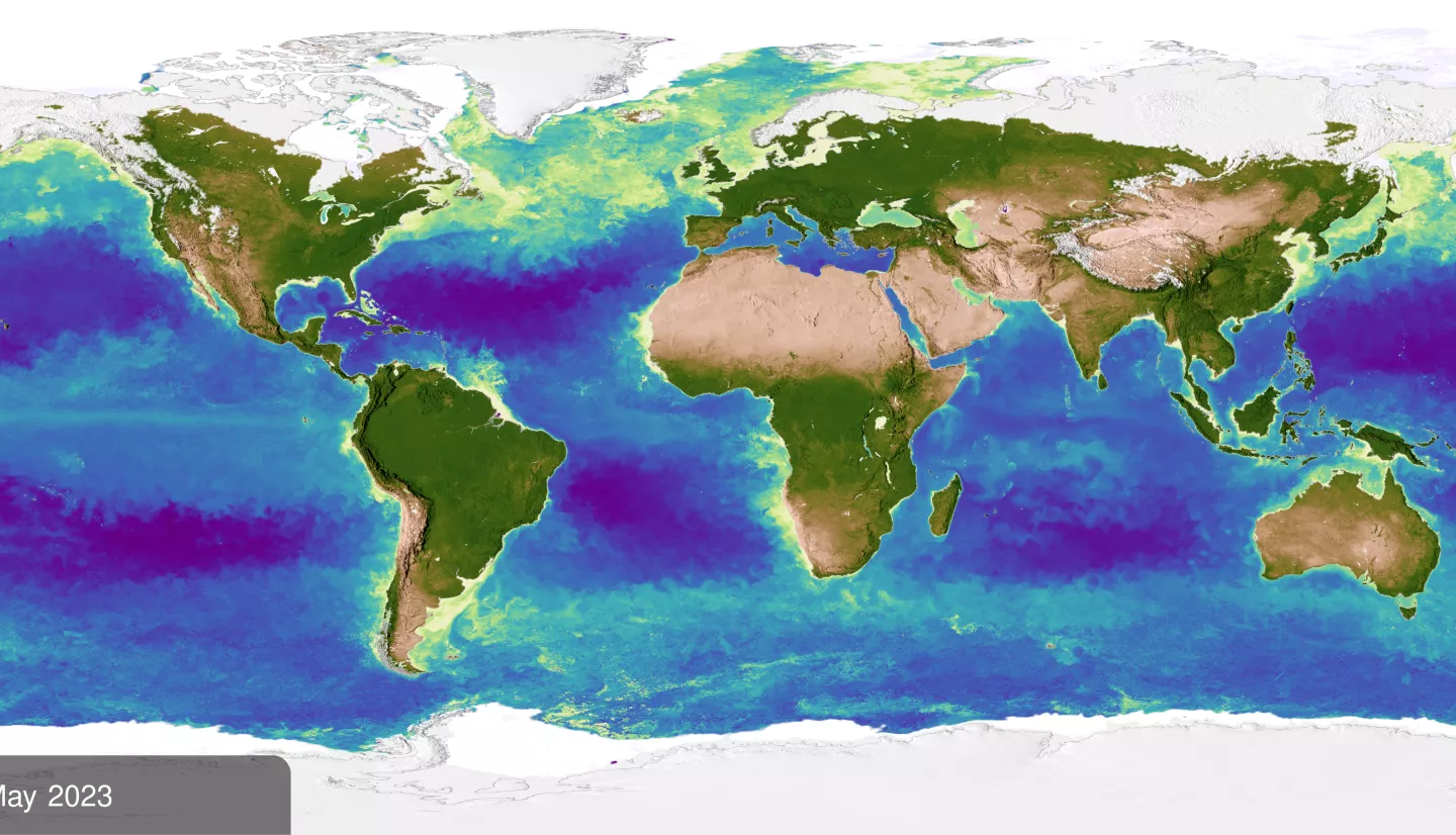 Map of Earth showing plant growth. In the ocean, dark blue represents areas where there is little life due to lack of nutrients, where yellow and orange represent nutrient-rich areas. On land, green represents areas of abundant plant life, while tan and white represent areas where plant life is sparse or non-existent.