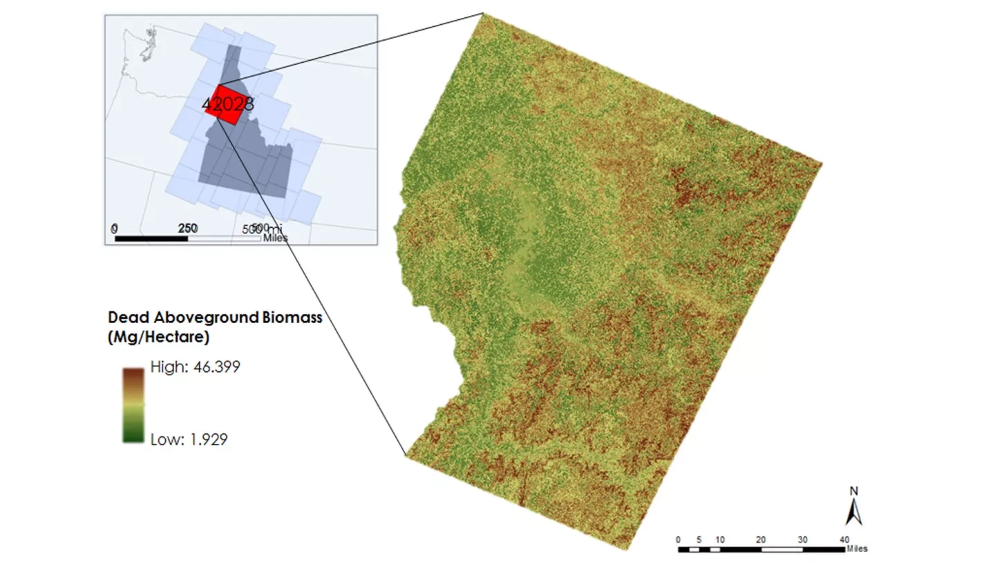 Utilizing NASA Earth Observations to Estimate Dead Aboveground Biomass Following Pest and Disease Outbreaks in Central Idaho Forests