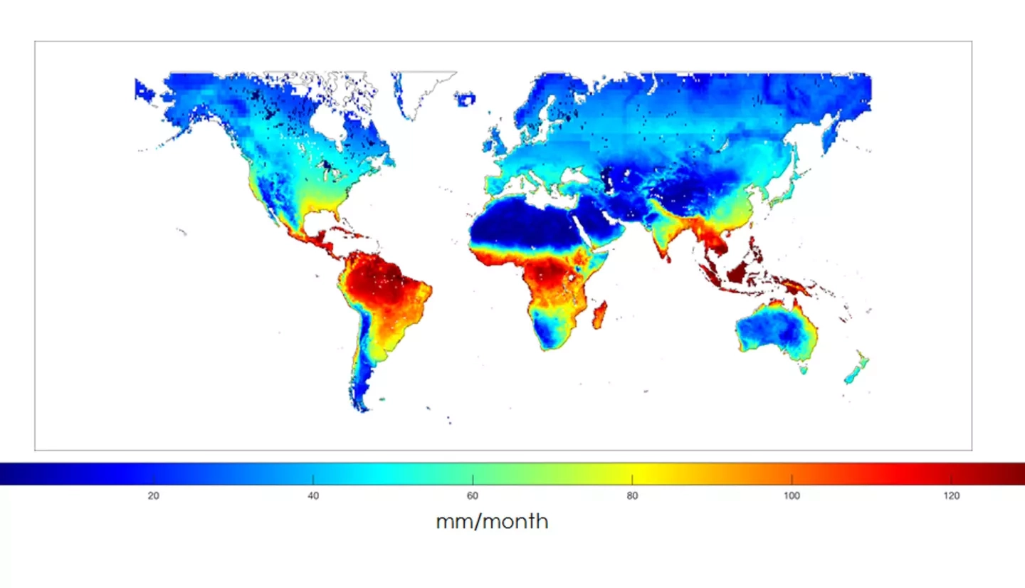Demonstrating the Potential Applications of ECOSTRESS Evapotranspiration Products in Plant Phenotyping and Predicting Patterns in Global Species Richness