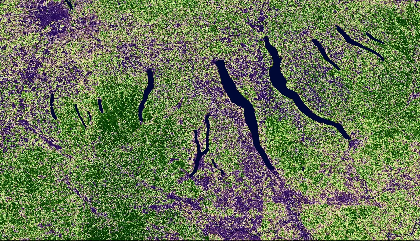 Enhanced Vegetation Index (EVI) calculated from Landsat 8 Operational Land Imager(OLI) in 2019.  Central New York is a high production region for maple syrup. Purple pixels indicate urban or highly developed areas, black pixels indicate water, and darker green pixels represent highly vegetated areas. Areas of higher vegetation will be more suitable for sugarbush locations. This will help maple producers identify suitable sugar maple tree habitats.  Keywords: EVI, Landsat 8 OLI, sugarbush, New York