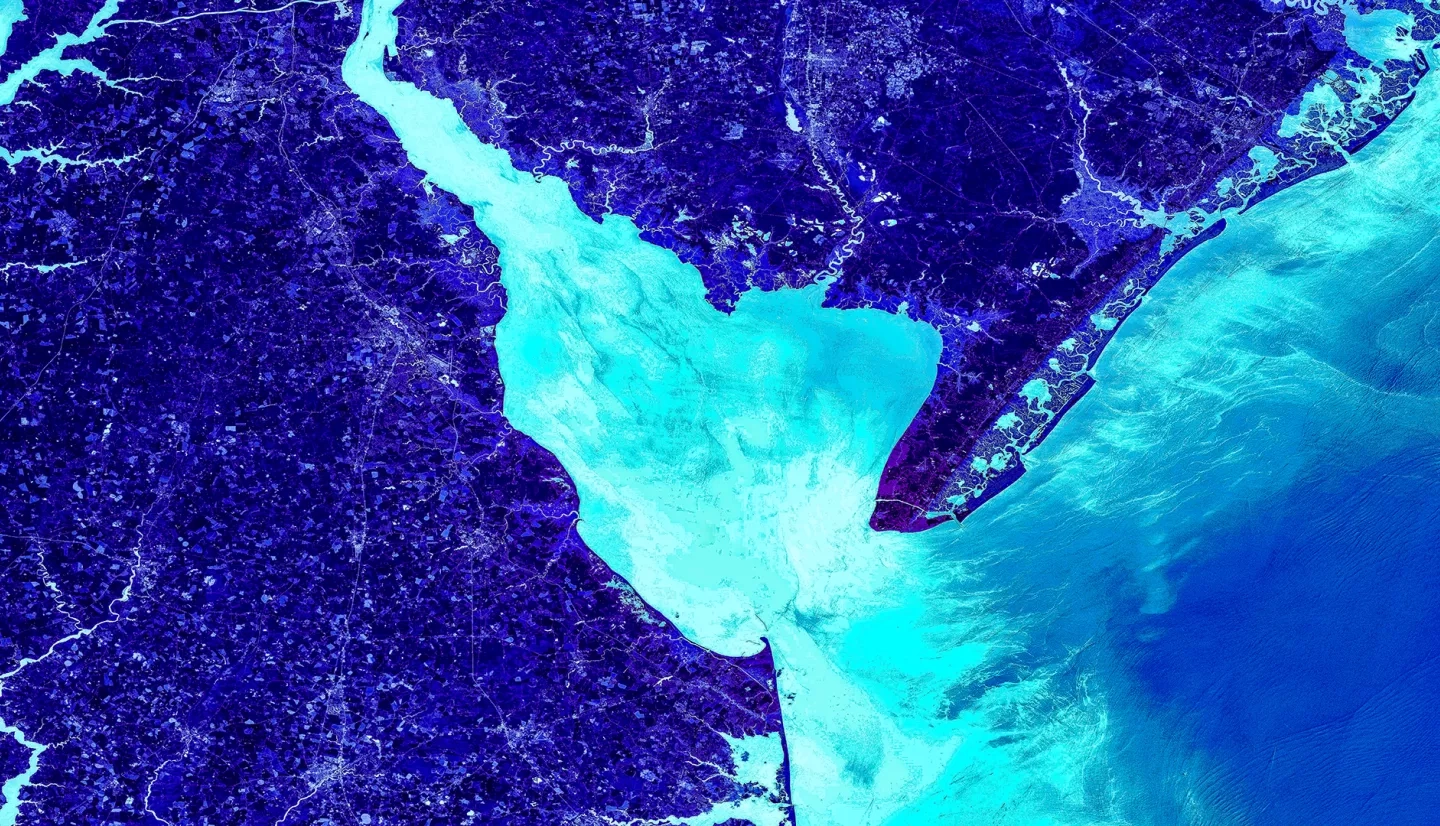 This NDWI-processed image from Landsat 8 OLI imagery (2019) covers the state of Delaware, including the Delaware Bay and Atlantic coastline. Typically with a color ramp like this, light blue would highlight liquid areas and dark blue would indicate land. In this case, however, the color noise as been reduced for aesthetic purposes, and these colors no longer distinguish between land and water.  Keywords: NDWI, Delaware, Coastline