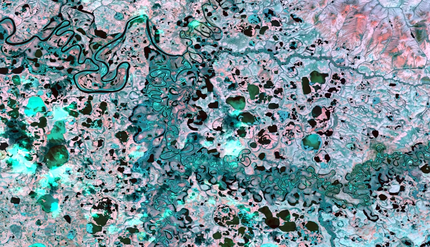 Normalized Difference Water Index-processed imagery using 2017 Landsat 8 OLI data with modified true color bands. Black represents open water, light blue represents inundated vegetation, and pink represent upland areas. This image was taken of Selawik, AK, and can aid in identifying wetland inundation and extent. title=