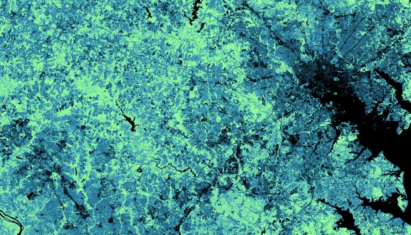 A July 2018 Landsat 8 OLI scene processed to show Normalized Difference Vegetation Index (NDVI) values with the Upper Patuxent Watershed centered and Baltimore, Maryland, visible on the easternmost portion of the image. Darker tones helped the team locate crops and assess the proximity of crops and their associated nutrient runoff to the Rocky Gorge and Triadelphia Reservoirs.