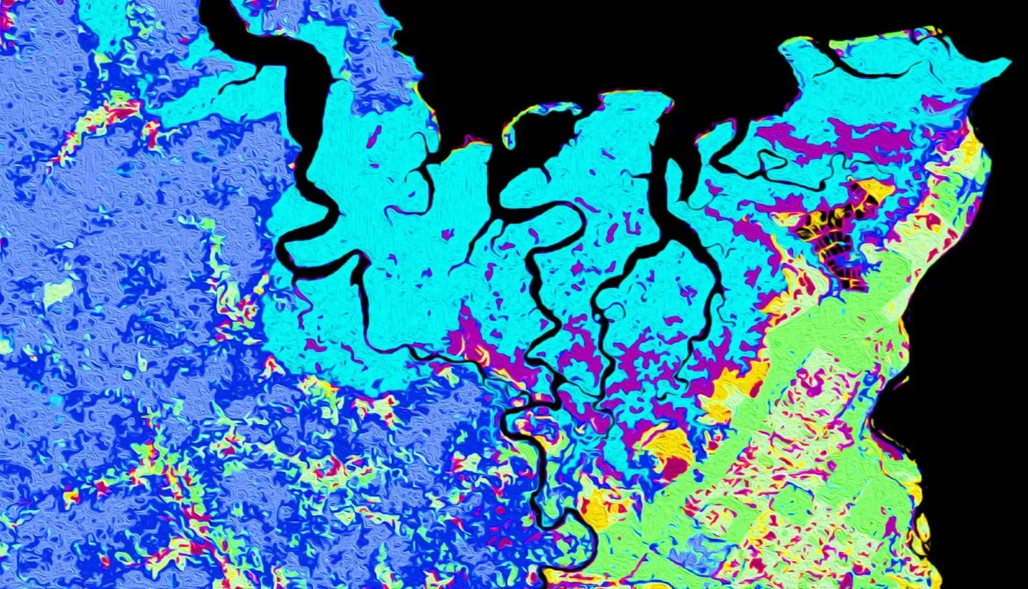 Landsat 8 Operational Land Imager (OLI) 2018 through 2019 surface reflectance data were used to distinguish land use and land cover in the southern Puntarenas Province, Costa Rica, specifically around the Terraba Sierpe National Wetlands. These data were used to inform a land trend analysis to forecast land cover to 2030. Highlighted features include mangroves shown in turquoise, primary and secondary forest shown in light and dark blue and palm plantations shown in green.