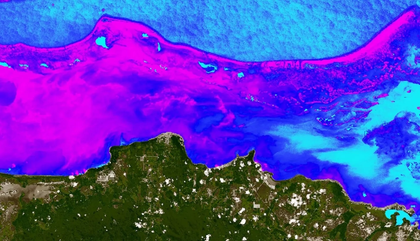 Turbidity derived from a January 28, 2019, Landsat 8 OLI image. The coastal region of Belize, including the Belize Barrier Reef, is displayed. Pink areas highlight high levels of turbidity. Very turbid waters may have consequences on the health of coral reefs, which require clear water in order to photosynthesize efficiently. These data may increase partners' understanding of spatiotemporal patterns of coastal water quality and will improve their capacity for allocating resources for coral reef monitoring and restoration.
