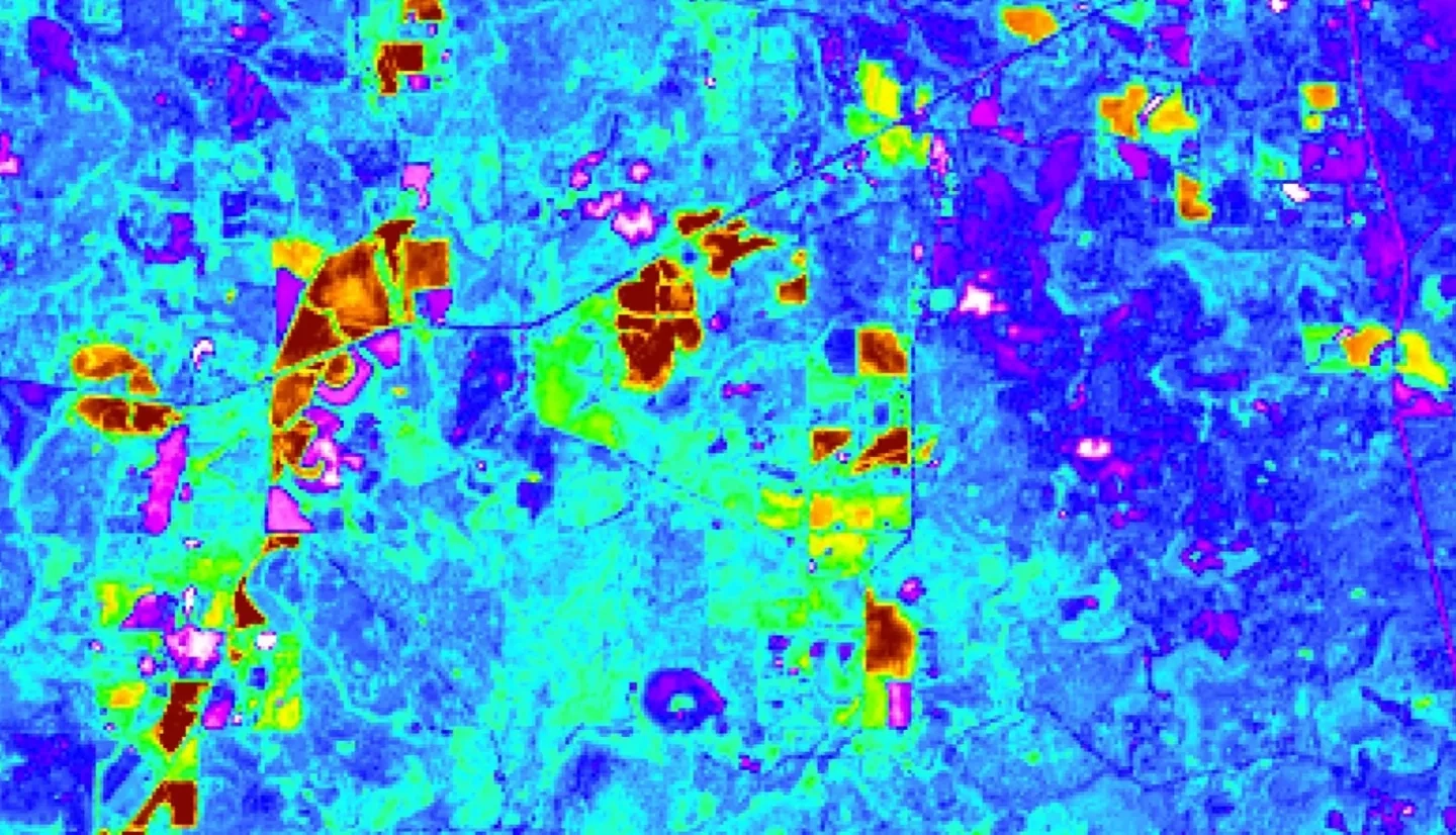 This is an EVI-processed image obtained from Landsat 8 OLI on August 12th, 2018, with a band combination of band 2, 5,and 4. Displayed is the Conecuh National Forest in southern Alabama. Warmer red-colored areas display areas of less dense vegetation, while blue-cooler colored areas display more dense vegetation in the area. Obtaining knowledge on the density of the vegetation allows the US Forest Service to better inform its conservation efforts for the gopher frog.