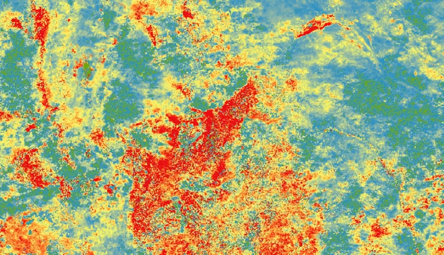 Vegetation Condition Index (VCI) was calculated using 2018 NDVI data from EMODIS. NDVI data was then converted to VCI through a time series and then the image was  later processed. Central Kenya is displayed, red indicates less healthy vegetation (high vegetation stress) and blue indicates healthier vegetation (lower stress). Areas showing less healthy vegetation informs drought management for Kenyan officials to issue drought warnings to affected counties.  Keywords: NDVI, Kenya, VCI, NDMA, EMODIS