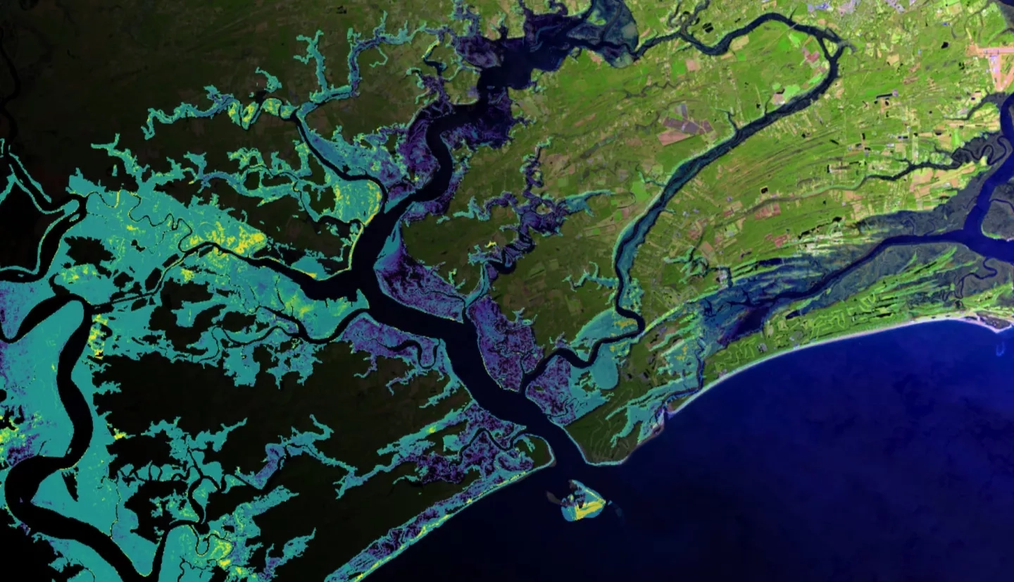 Multispectral Landsat 8 ESRI on-the-fly imagery superimposing the 2009-2017 difference in unvegetated to vegetated ratio calculated using classified NAIP imagery. Salt marsh along the Charleston, South Carolina coast relies on sediment import from the environment to remain stable. Areas in yellow are indicative of greater salt marsh change from vegetated to unvegetated. Change from vegetated to unvegetated indicate these areas may be vulnerable to open water conversion resulting in the loss of the salt marsh.   Keywords: UVVR, Jacob Stid, Adriana LeCompte, Derek Nguyen, Elspeth Gates​
