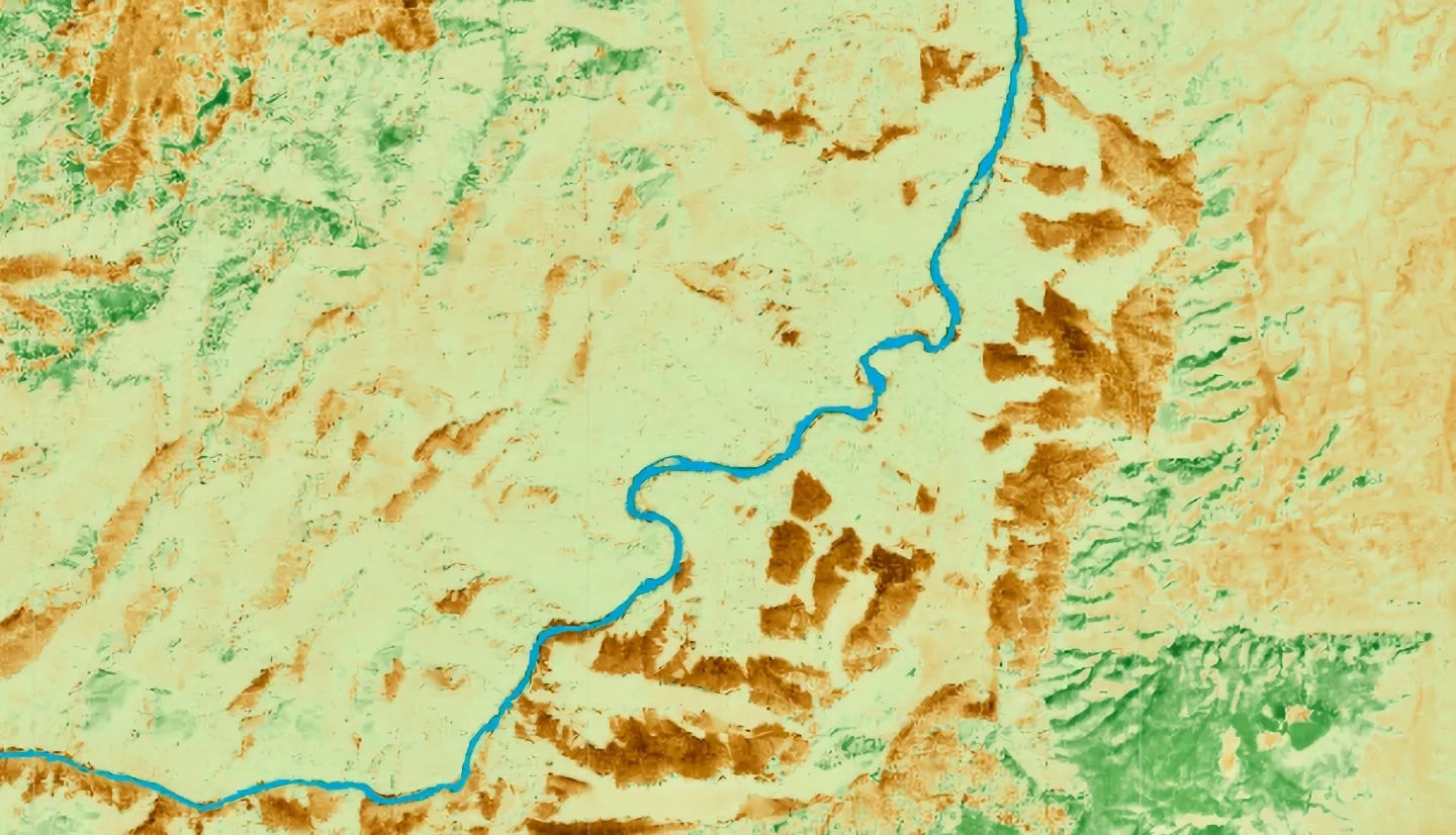 A composite showing the difference in NDVI between the Summer and Winter of 2019 to capture phenology along the Colorado River in the Grand Canyon. Indices derived from Landsat 8 OLI SR, June 19 and Dec 12. Darker shades of brown indicate a greater difference in NDVI while darker shades of green indicate a lower difference. Pairing on-the-ground phenology observations with remotely sensed data can increase partners' monitoring capacity of native and non-native riparian species.  Keywords: Phenology, NDVI, Landsat