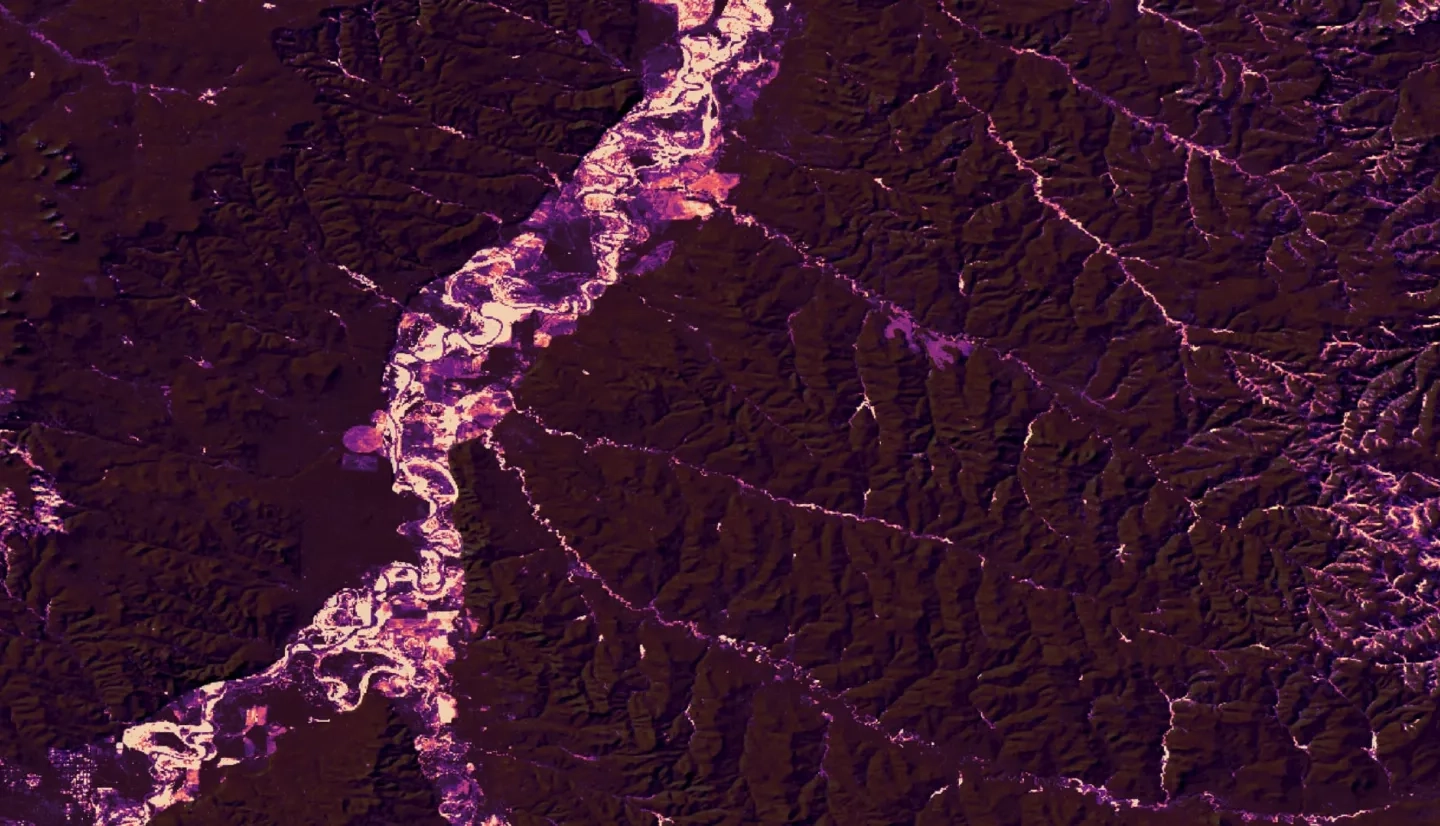 A Russian olive (RO) detection map created using 2020 Sentinel-2 MSI and 2020 Landsat 8 OLI imagery overlayed by a hillshade layer created by the Team from a series of USDA NRCS DEMs. The central portion of the Powder River is displayed. Yellow-white (purple-black) colors indicate RO presence (absence) in percent. There is no threshold on the results displayed; therefore, it is not an accurate representation of the results of our RO detection model.  Keywords: random forest model, russian olive, sentinel, landsat, shahin, courtney, tian, andrews, buczek
