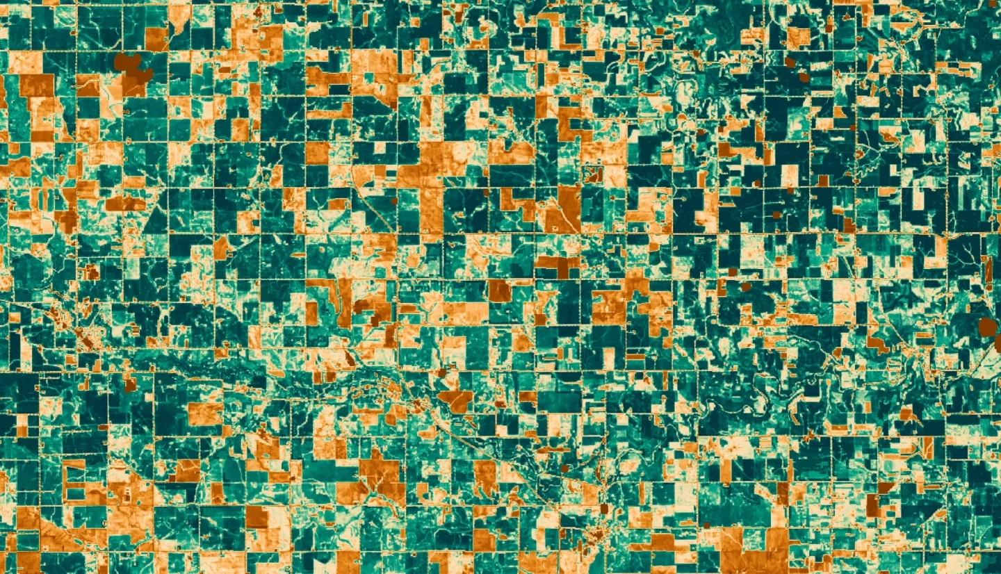 NDVI image of croplands in north-central Iowa derived from Landsat 8 OLI. The image is a cloud-removed, composite mean from all images available from June 2020 to July 2020. NDVI values, which indicate the level of photosynthetic activity, correspond from low-high with the orange-green color gradient. Farmers and agricultural researchers tasked with monitoring crop performance can use the data from an image like this to model crop yield and encourage sustainable agriculture practices.  Keywords: sustainable agriculture, NDVI, Google Earth Engine, agriculture, Landsat, crop diversification